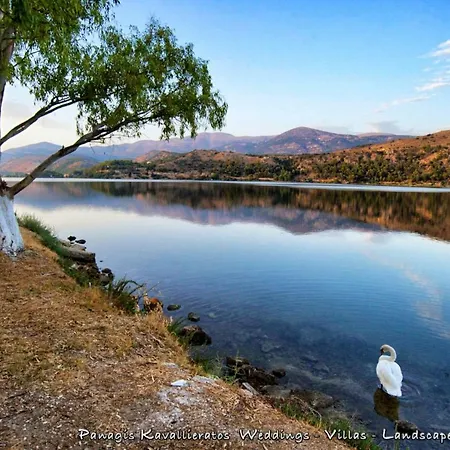 Elisso * ארגוסטולי